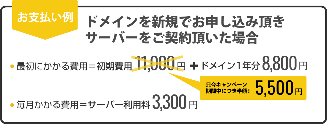 マックスマシーンで新規ドメインとレンタルサーバー『ON.STAGE』をご契約頂いた場合のお支払い例